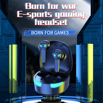 Tg10 Wireless Earbuds